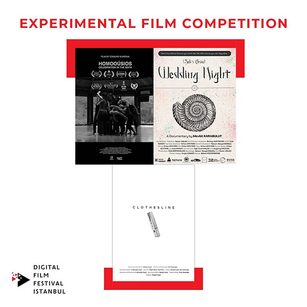 EXPERIMENTAL FINALISTS